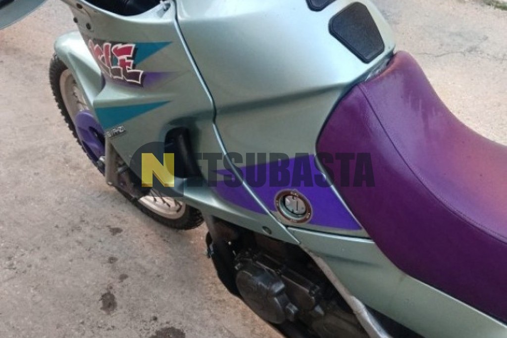 Kawasaki KLE 500 1995