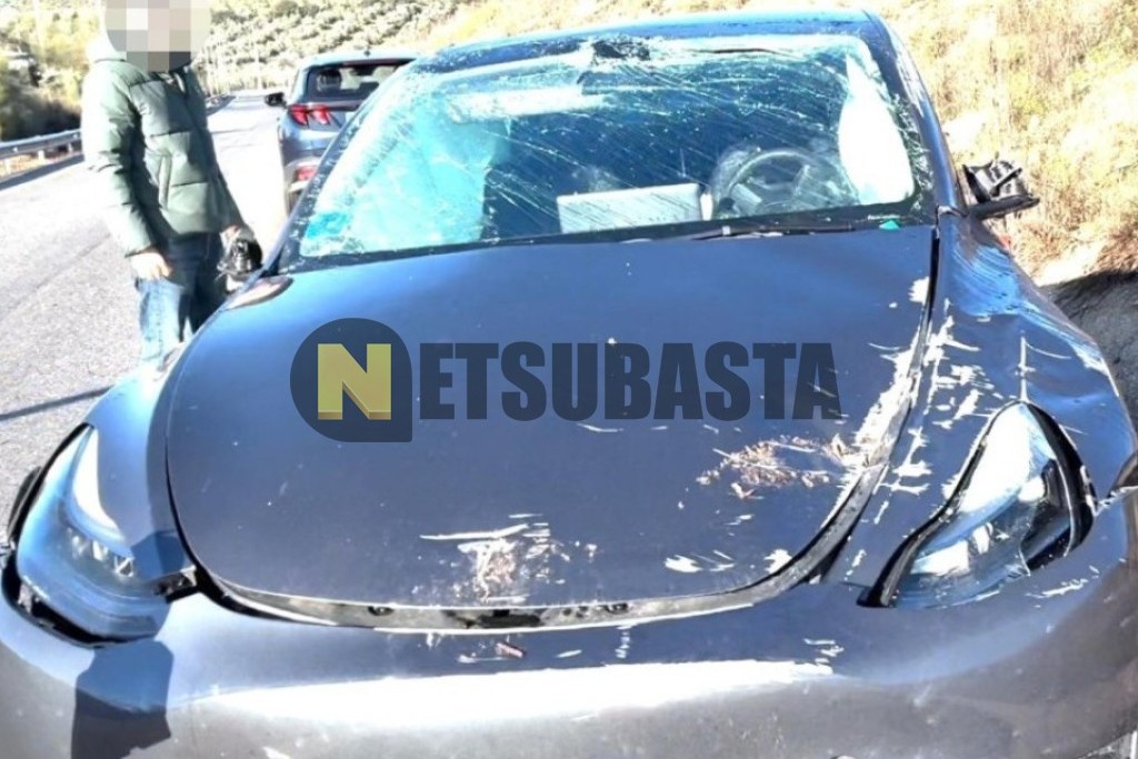 Tesla Model Y Gran autonomía Tracción integral 2023