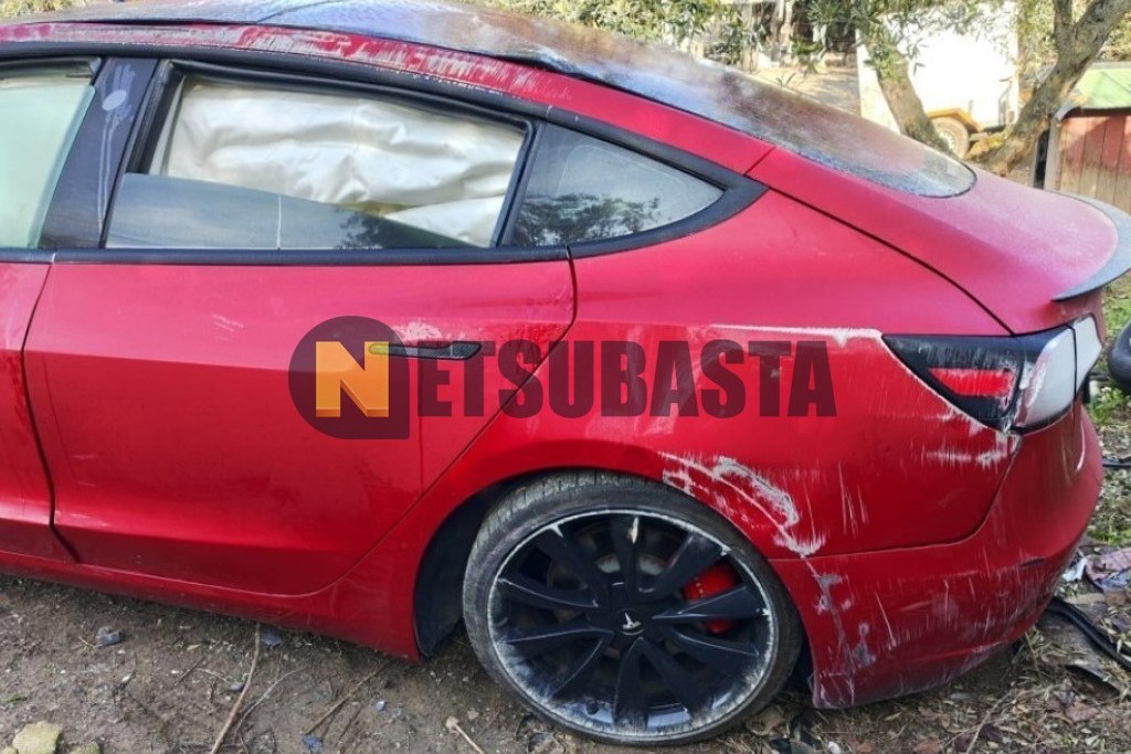 Tesla Model 3 Traccion Integral 2019