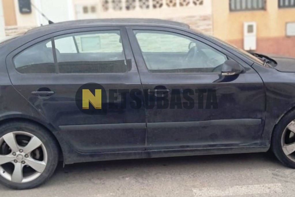 Skoda Octavia 2.0 TDI 2007