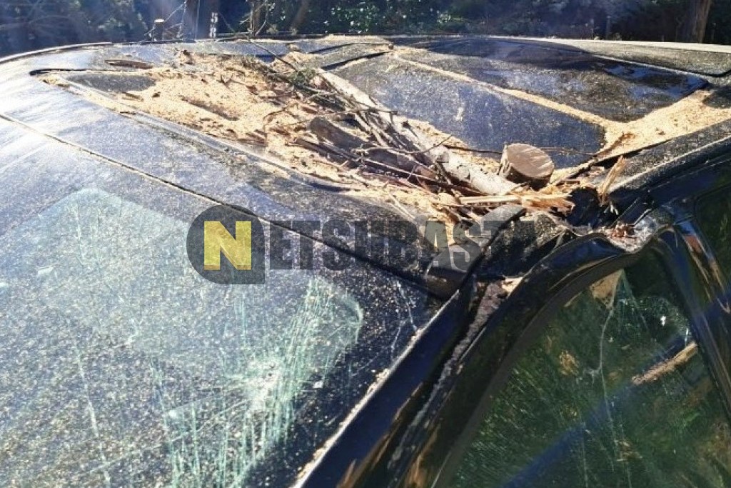 Mercedes-Benz V 220 d Largo 7G-TRONIC PLUS 2018