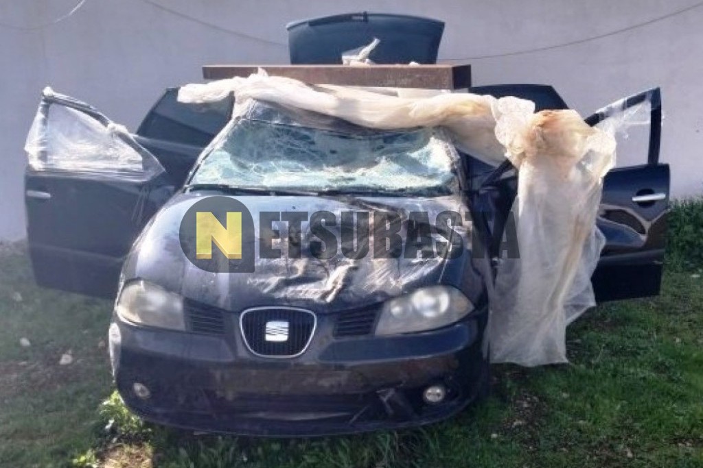 Seat Ibiza 1.9 TDI 2008