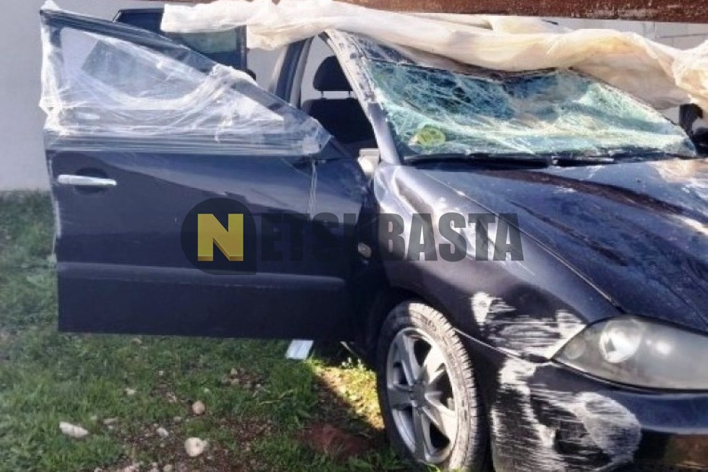 Seat Ibiza 1.9 TDI 2008