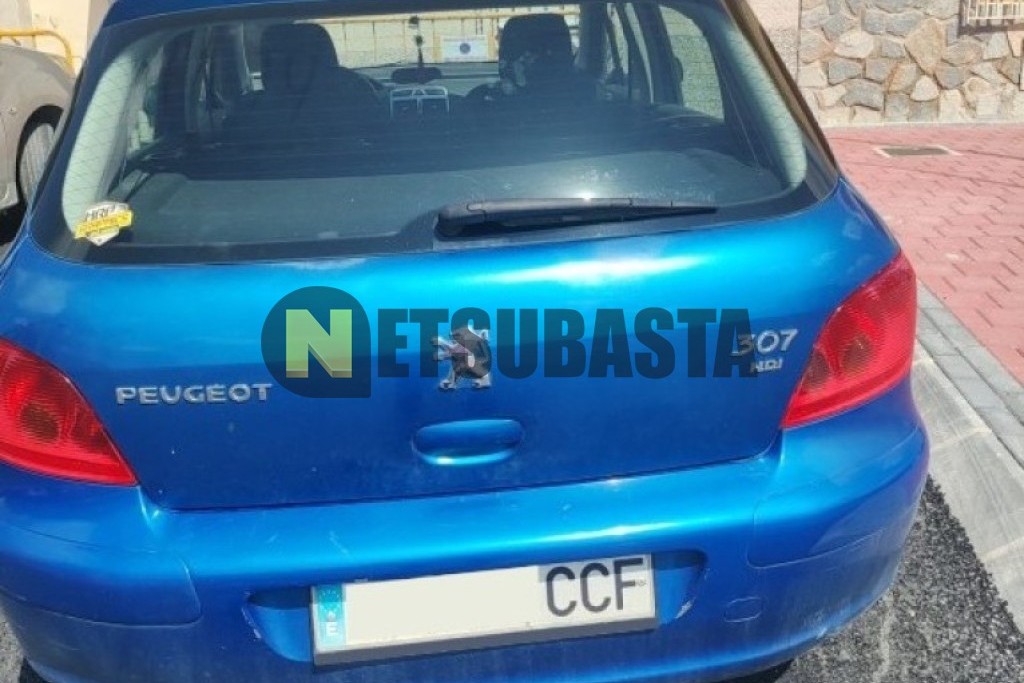 Peugeot 307 2.0 HDi 2002