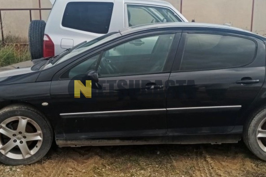 Peugeot 407 2.0 HDi 2004