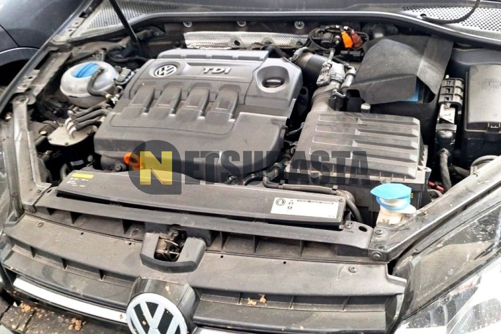 Volkswagen Golf 1.6 TDI 2013