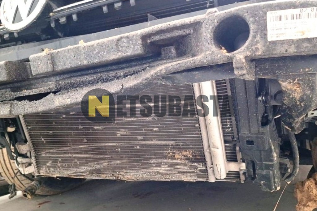 Volkswagen Golf 1.6 TDI 2013