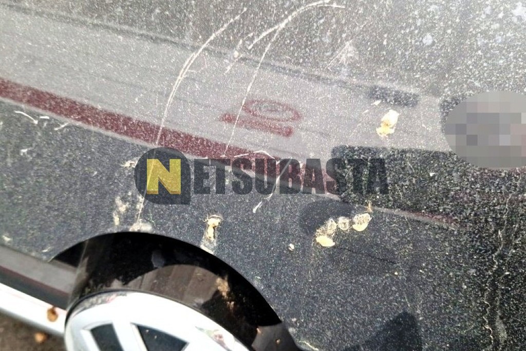 Volkswagen Golf 1.6 TDI 2013