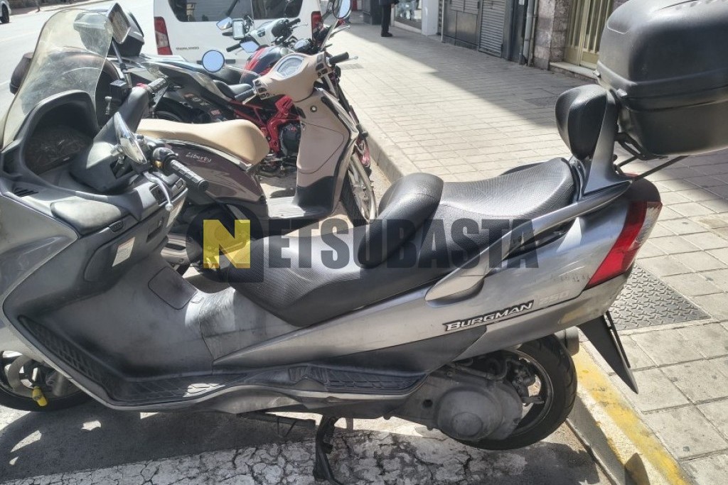 Suzuki BURGMAN 250 2007