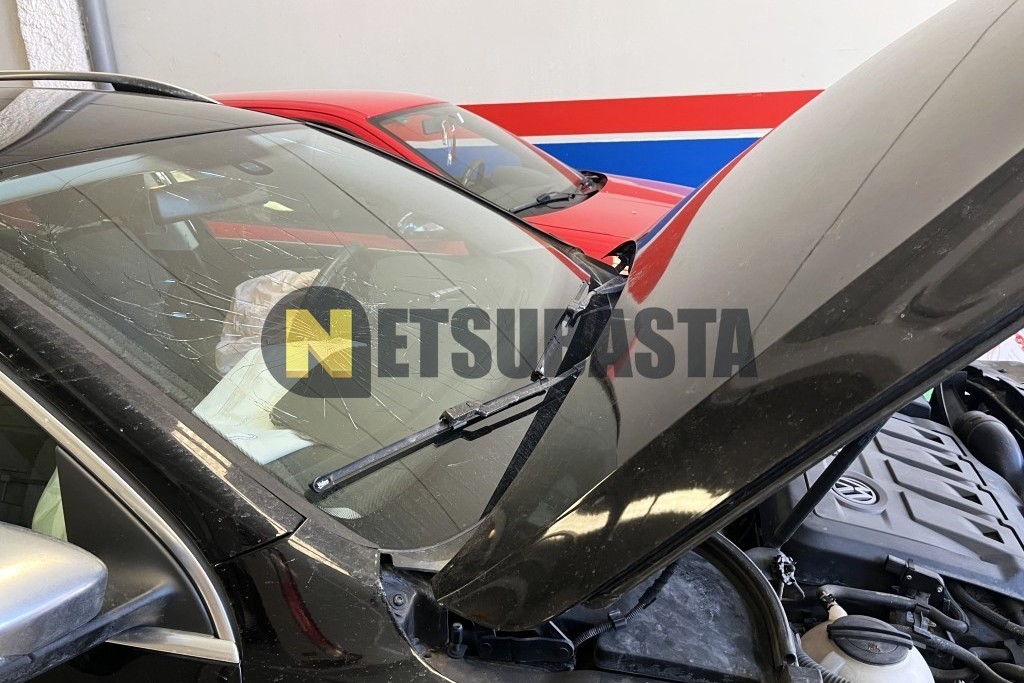 Volkswagen Passat Alltrack 2.0 TDI DSG 4Motion BMT 2013