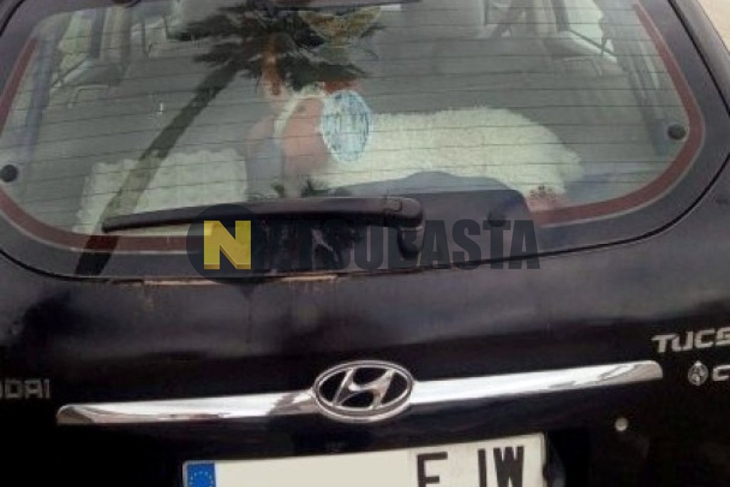 Hyundai Tucson 2.0 CRDi VGT 4x2 2006