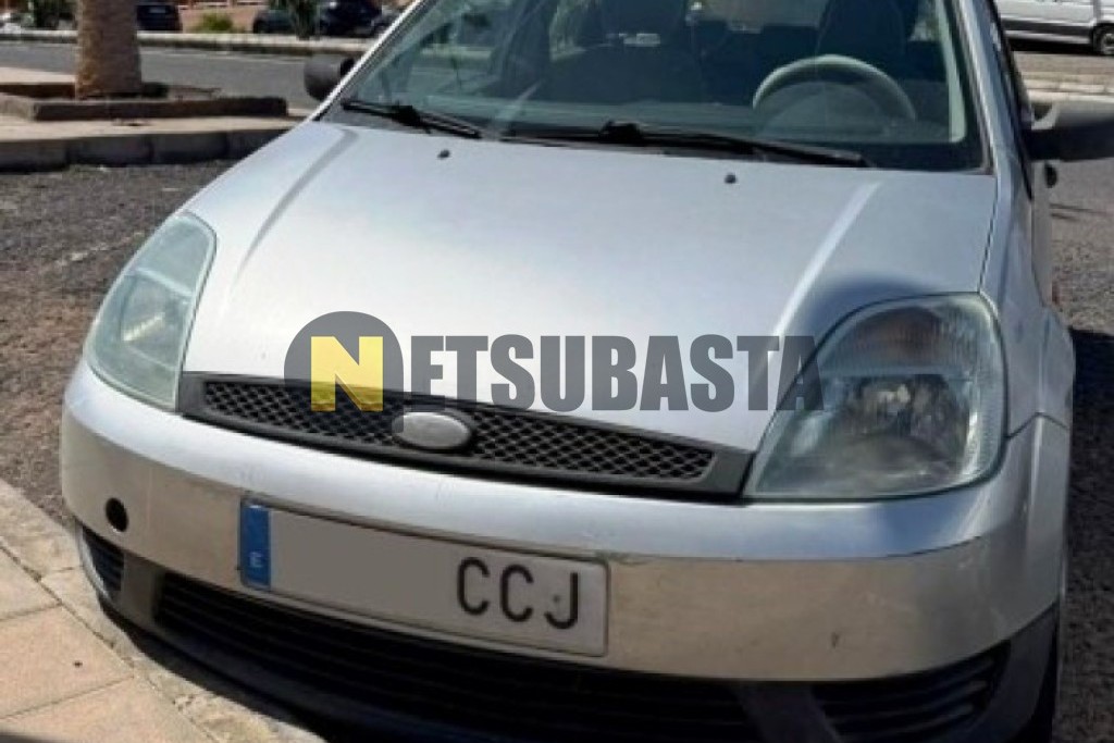 Ford Fiesta 1.4 TDCi 2002