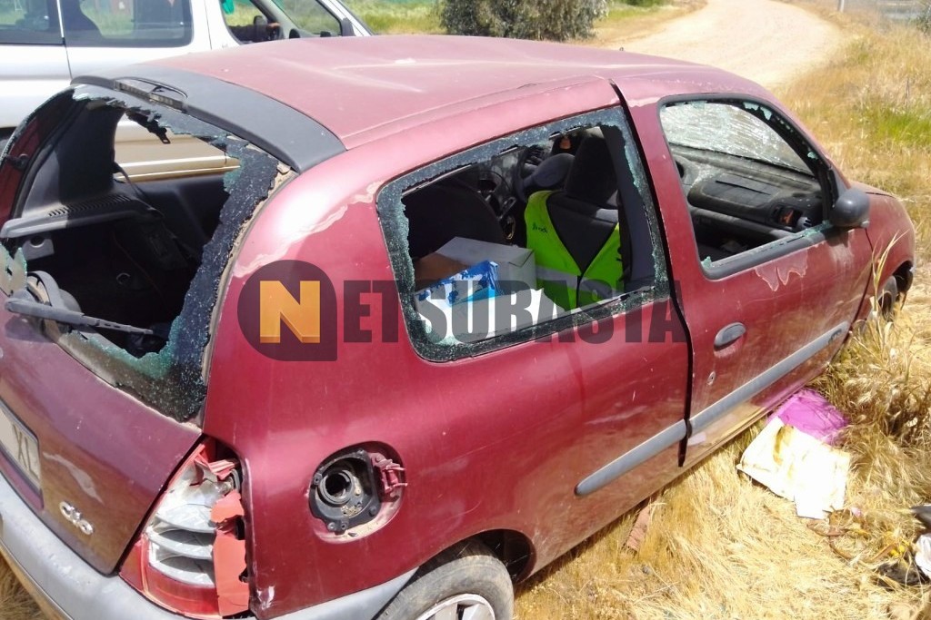 Renault Clio 1.9D 1999