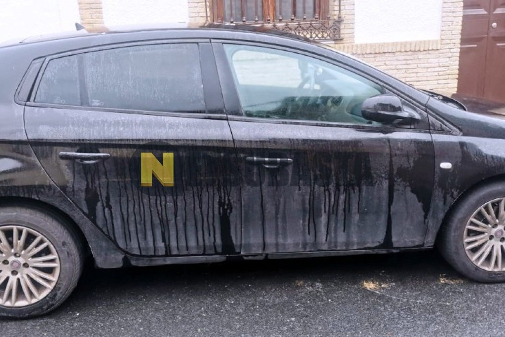 Fiat Bravo 1.9 Multijet 2009