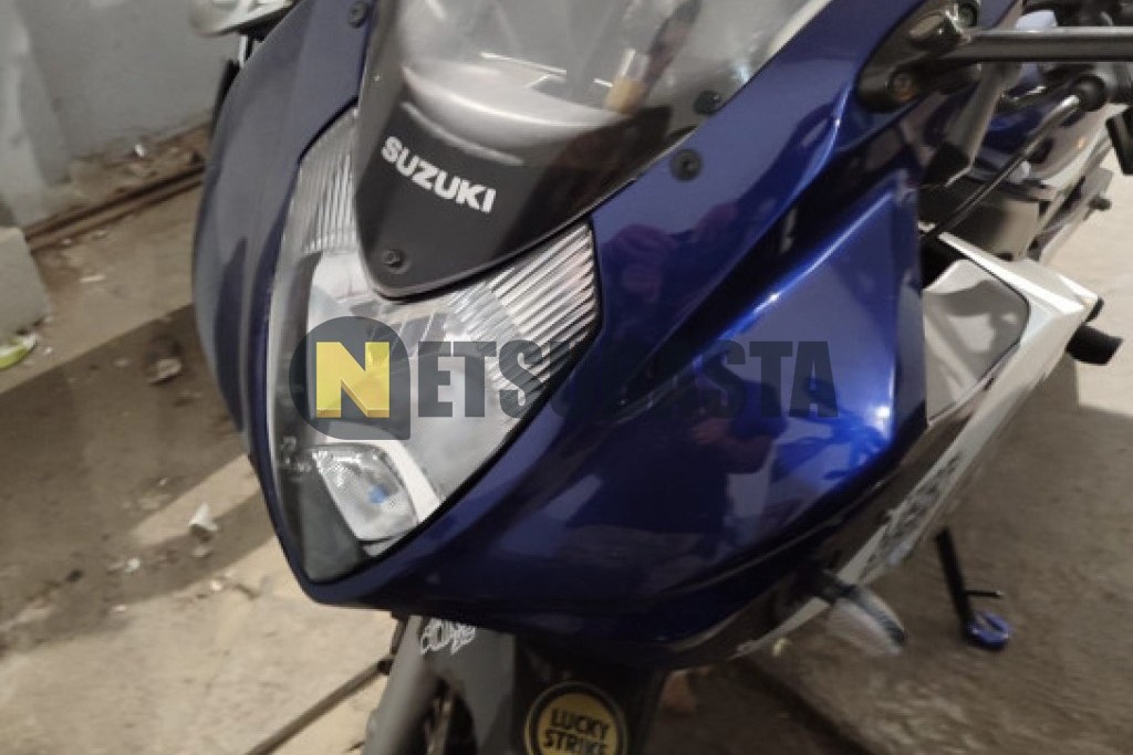 Suzuki GS 500F 2006