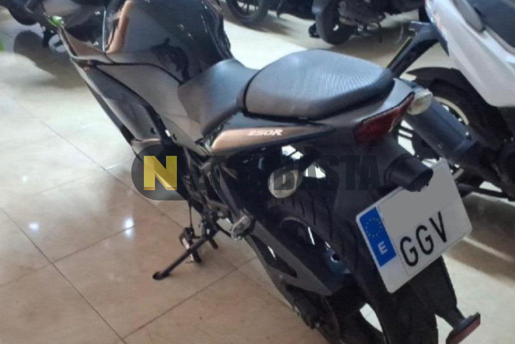 Kawasaki Ninja 250 R 2008