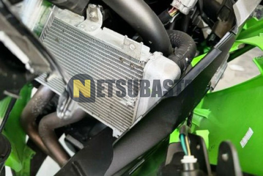 Kawasaki Ninja 650 2025