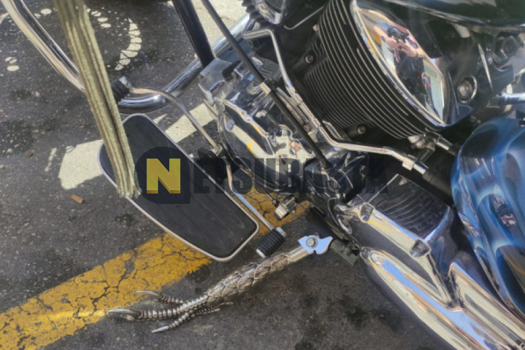 Yamaha XVS 1100 Drag Star 2005