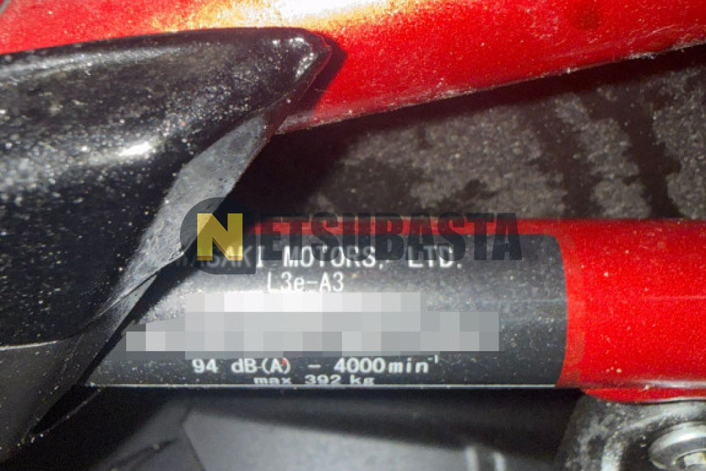 Kawasaki Z 900 2024
