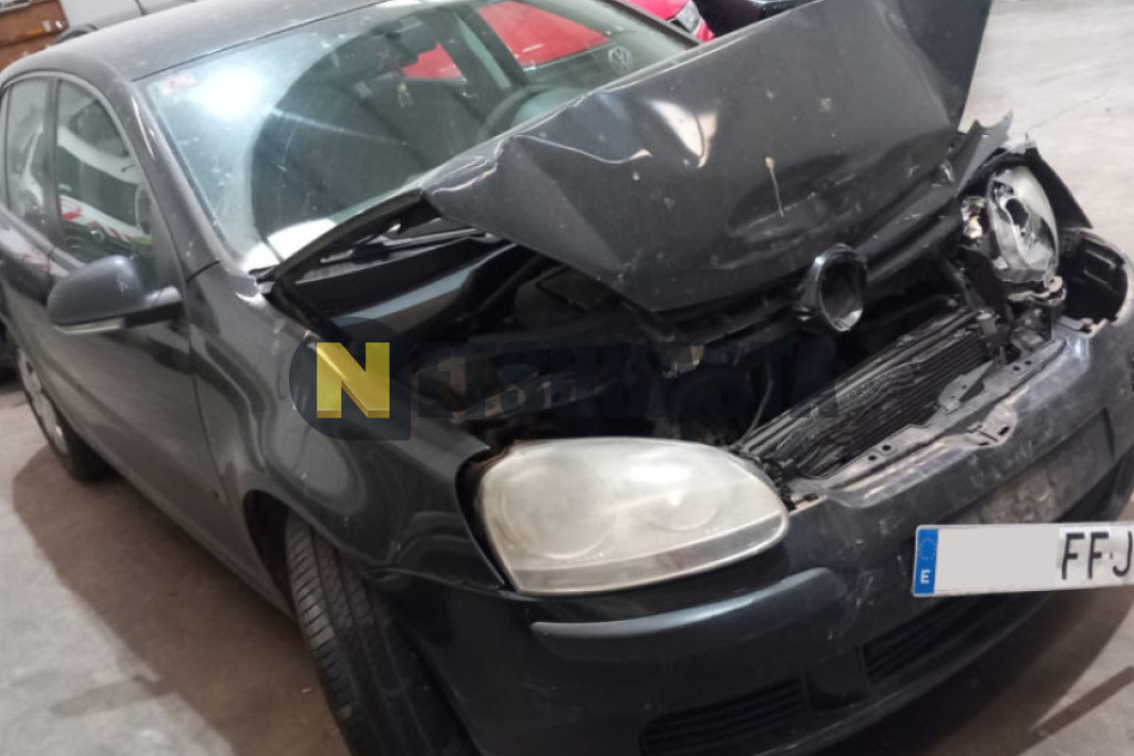 Volkswagen Golf 1.9 TDI 2006