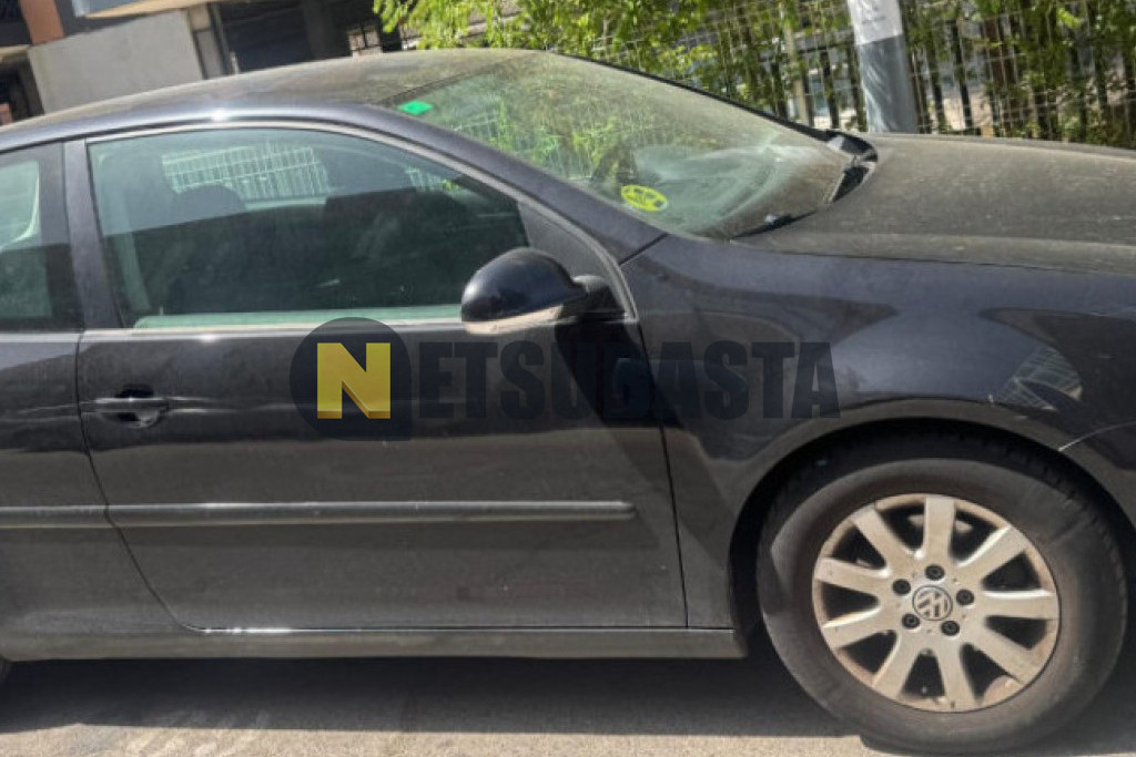 Volkswagen Golf 1.9 TDI BlueMotion DPF 2008
