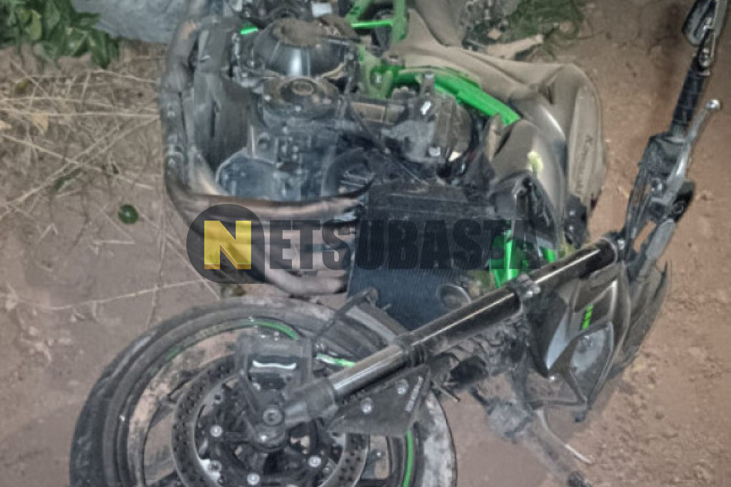 Kawasaki Z 900 2025