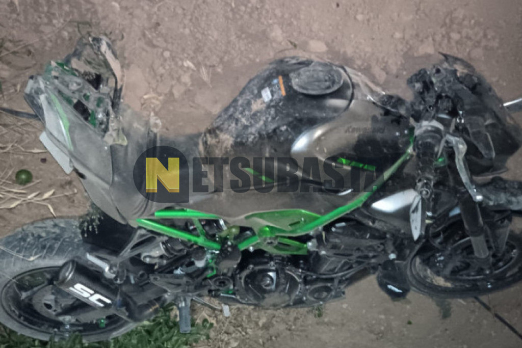 Kawasaki Z 900 2025