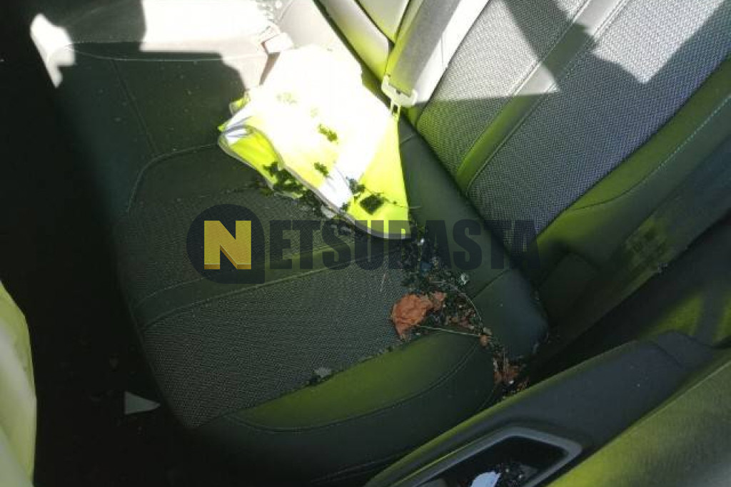 Peugeot 308 1.5 BlueHDi EAT8 2024