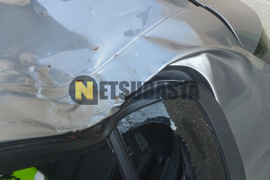 Peugeot 308 1.5 BlueHDi EAT8 2024