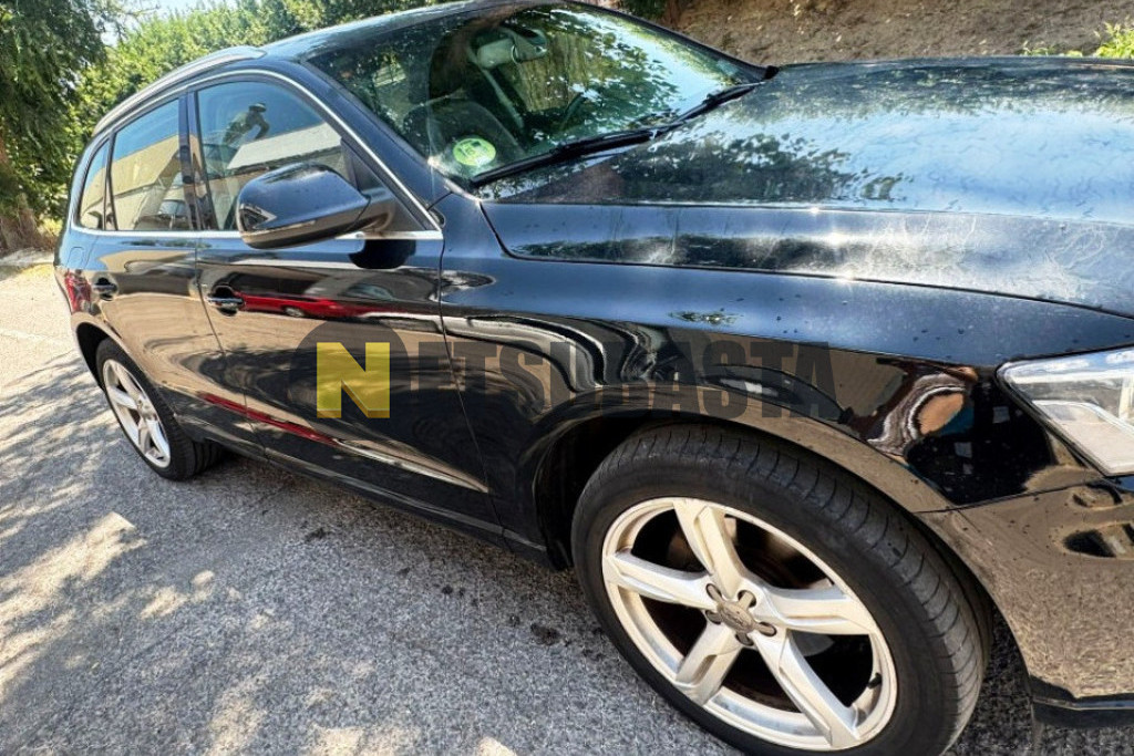 Audi Q5 2.0 TDI quattro DPF 2008
