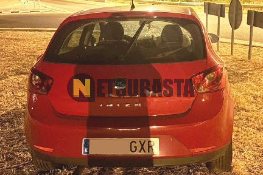 Seat Ibiza 1.6 TDI DPF 2010