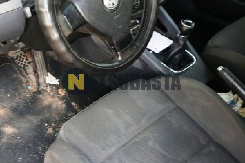 Volkswagen Golf 2.0 TDI 2006