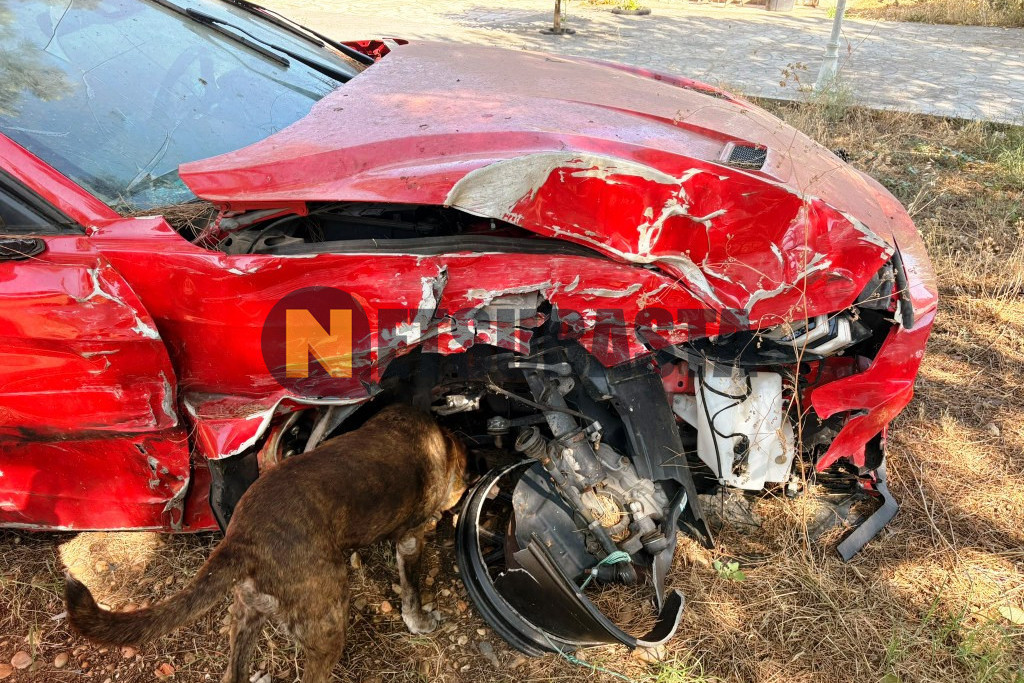 Ford Mustang Fastback 2.3 EcoBoost 2019