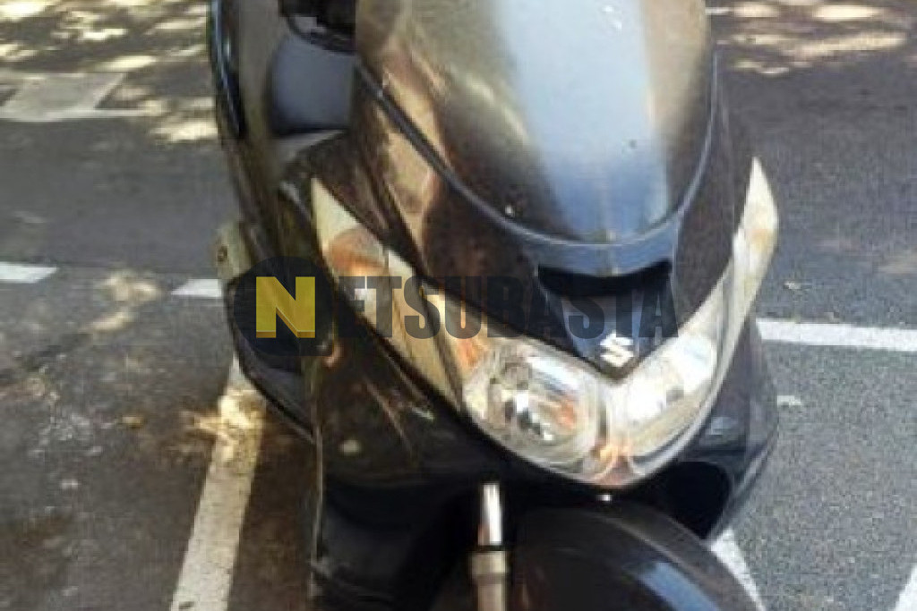 Suzuki BURGMAN 250 2008