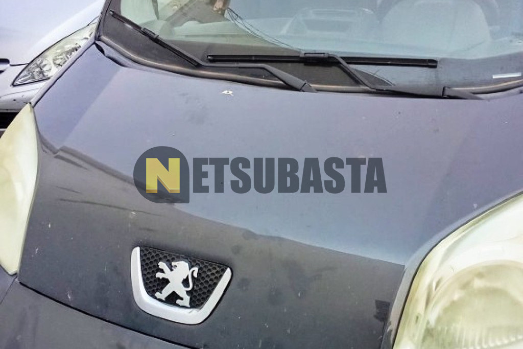 Peugeot Bipper Tepee 1.3 HDi 2012