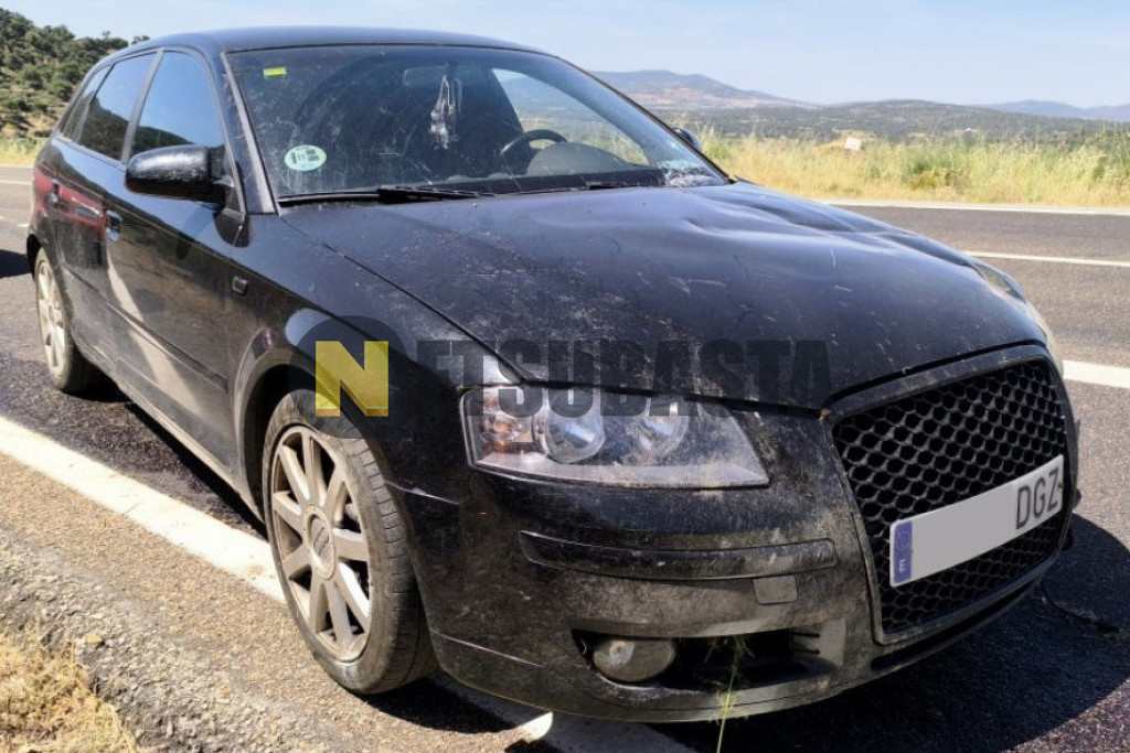 Audi A3 Sportback 2.0 TDI 2005