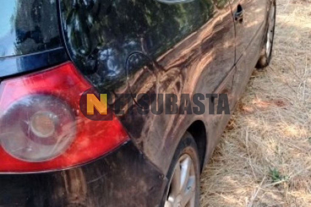 Volkswagen Golf 2.0 TDI 2004
