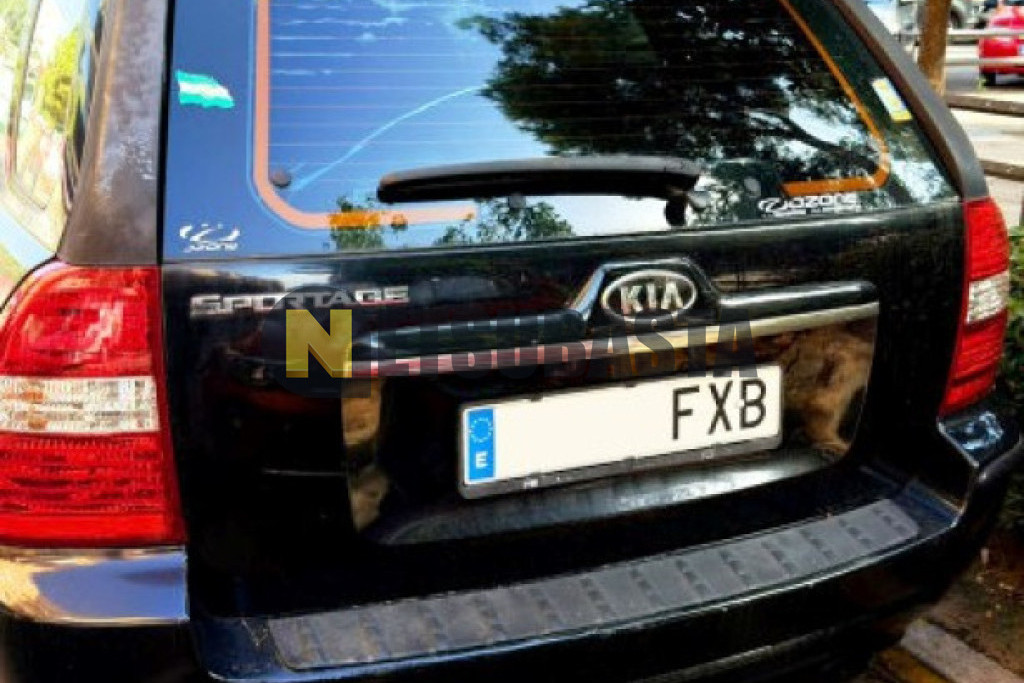 Kia Sportage 2.0 CRDI VGT 4x4 2007