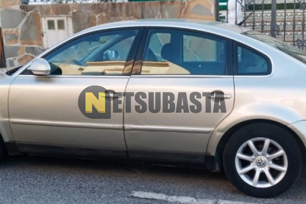Volkswagen Passat 1.9 TDI 2004