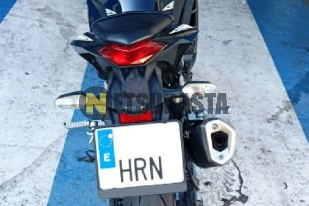 Kawasaki Ninja 300 2013