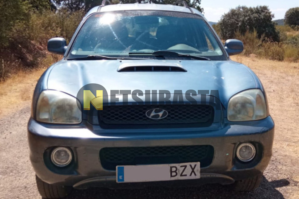 Hyundai Santa Fe 2.0 CRDI 4x4 2002
