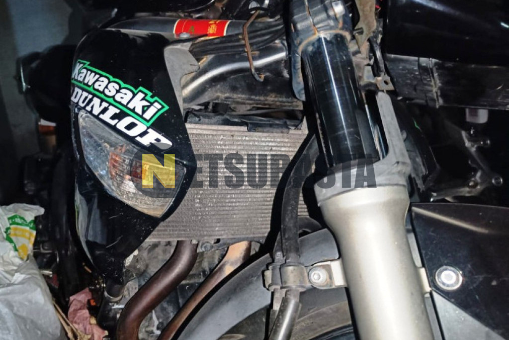 Kawasaki ER 6N 2011