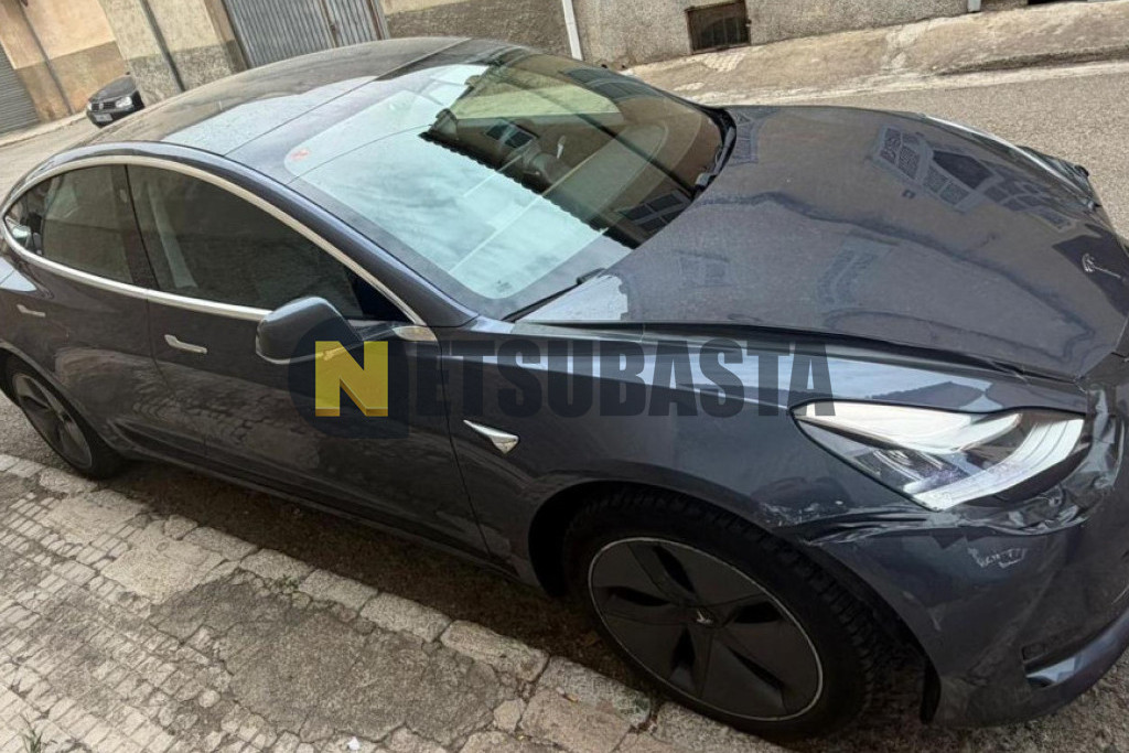 Tesla Model 3 Traccion trasera 2019