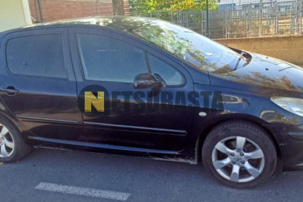 Peugeot 307 2.0 16v 2006