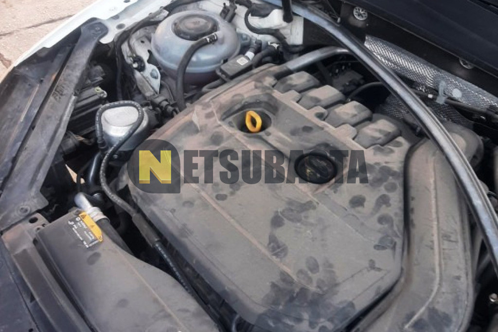 Volkswagen Golf 1.5 TSI EVO BLueMotion 2020