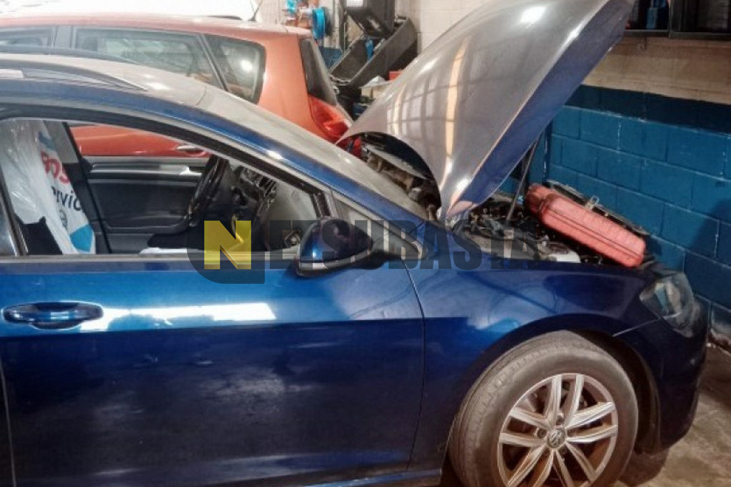 Volkswagen Golf Variant 1.6 TDI 2019