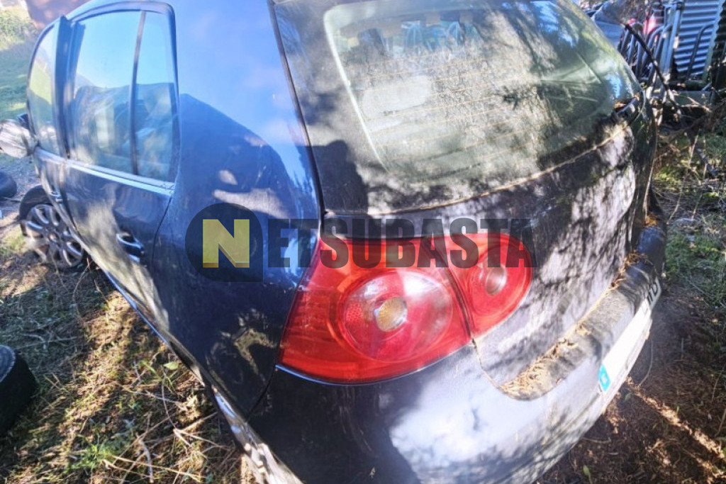 Volkswagen Golf 1.9 TDI 2006