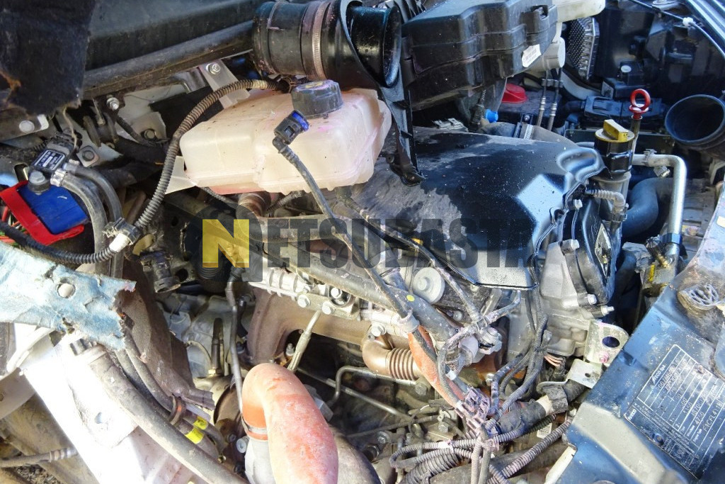 Iveco Daily 70C18 Plataforma Portacoches 2025