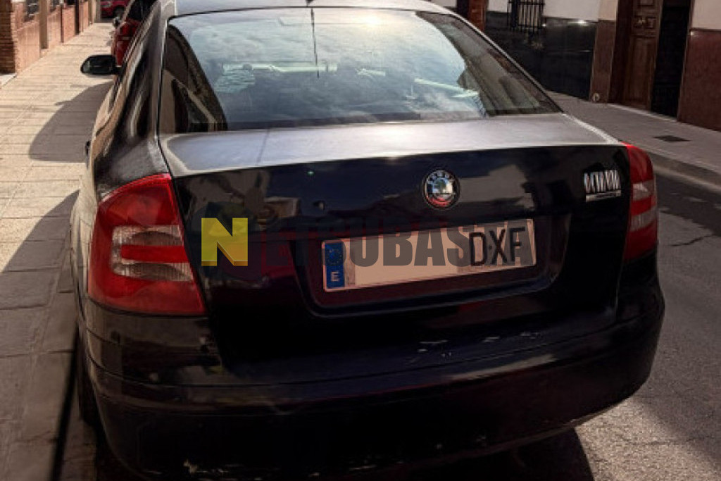 Skoda Octavia 1.9 TDI 2006