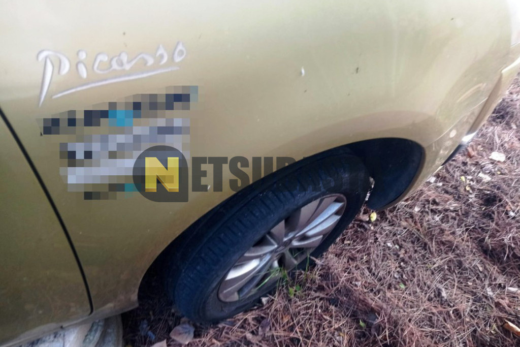 Citroën Citroën Grand C4 Picasso HDi FAP 2008